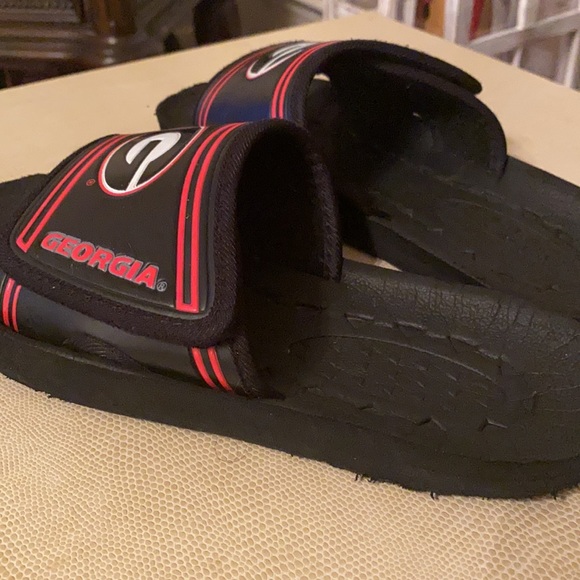 UGA Slides - Picture 6 of 6